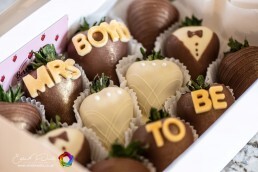 Breckenhill wedding photos emd media 1