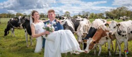 Millbrook Lodge Hotel Weddings by Emd Media (20)