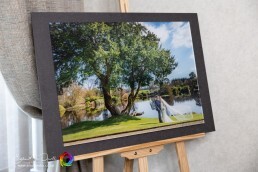 Acrylic Print Included