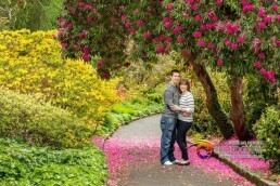 10366155 731360033554174 3770464622617804597 n uai Emd Media Wedding Photography & Videography 10366155 731360033554174 3770464622617804597 n