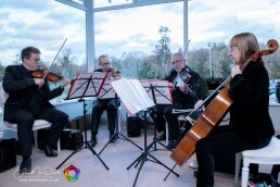 EMD 447 of 777 Large