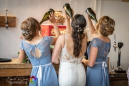 Breckenhill wedding photos emd media 40