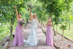 EMD 419 of 850 scaled